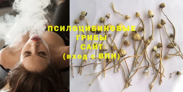 спайс Алзамай