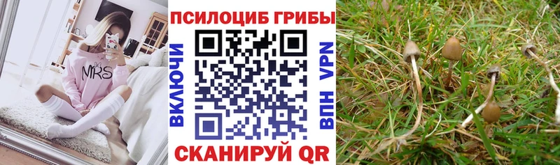Псилоцибиновые грибы прущие грибы ссылка на мегу зеркало Туринск